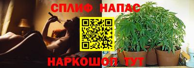 стафф Гусев